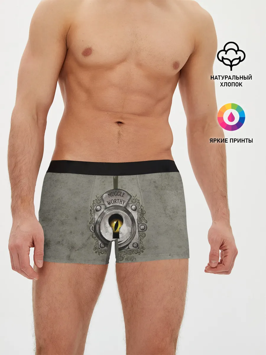 Мужские трусы боксеры / Muggle Worthy