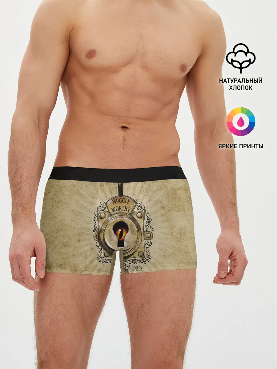 Мужские трусы боксеры / Muggle Worthy