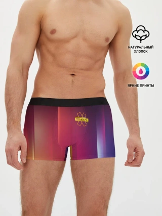 Мужские трусы боксеры / NILETTO LOGO | НИЛЕТТО ЛОГО