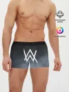 Мужские трусы боксеры / Alan Walker