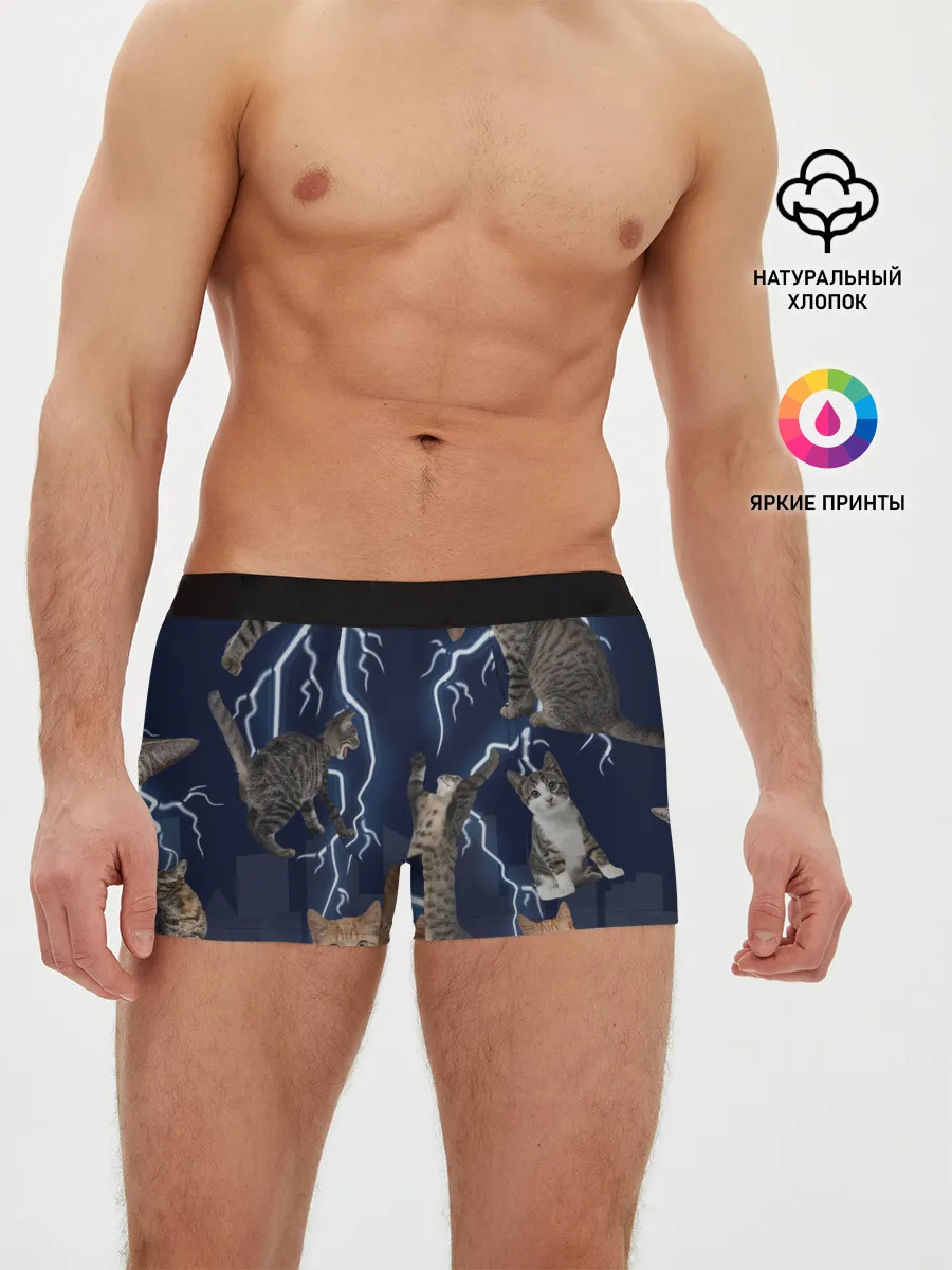 Мужские трусы боксеры / Коты