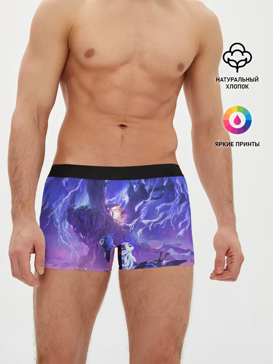 Мужские трусы боксеры / Ori and the Will of the Wisps