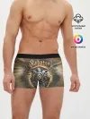 Мужские трусы боксеры / SABATON