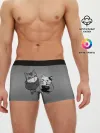 Мужские трусы боксеры / Котики в масках