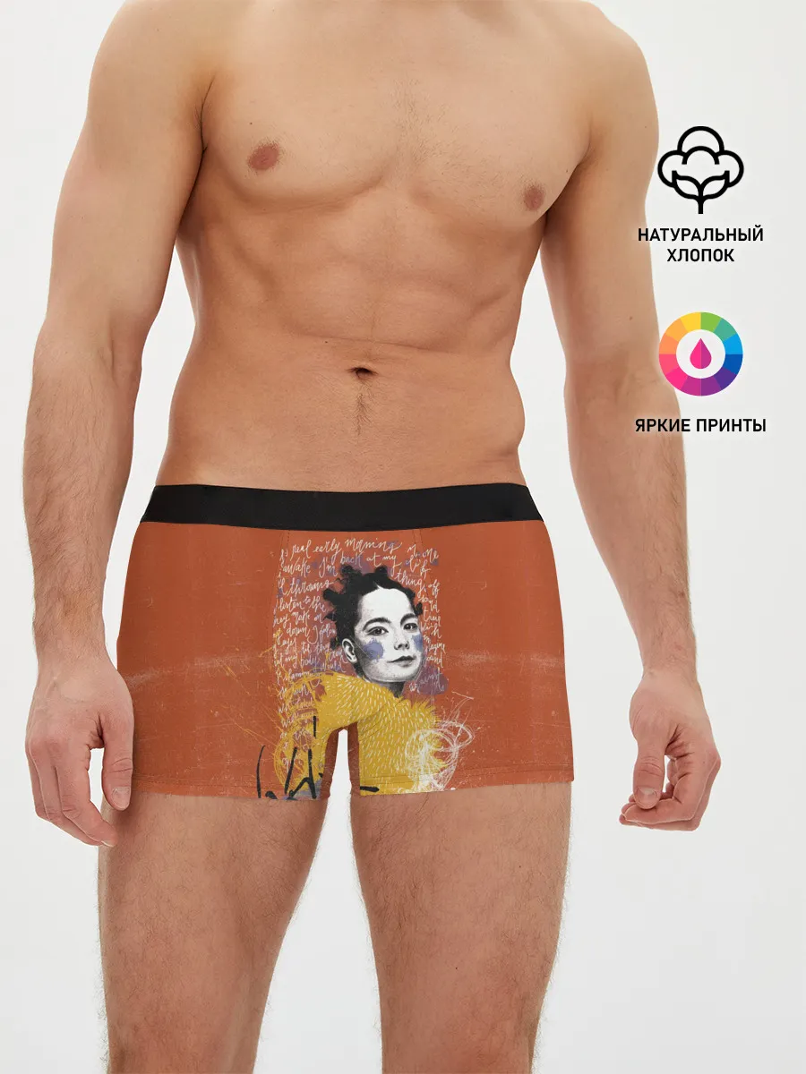 Мужские трусы боксеры / Bjork
