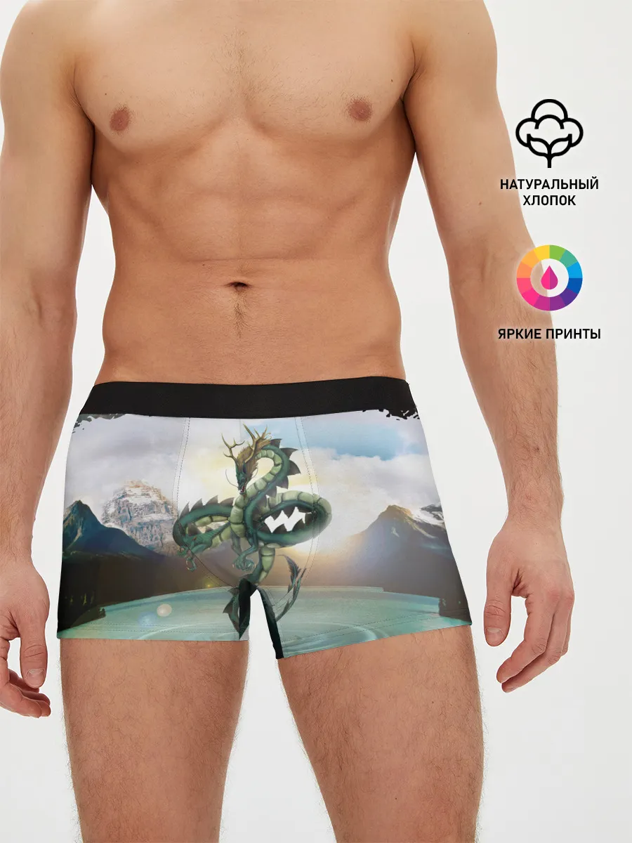 Мужские трусы боксеры / Дракон | Dragon