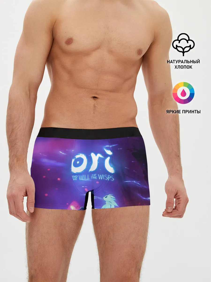 Мужские трусы боксеры / Ori and the Will of the Wisps