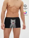 Мужские трусы боксеры / Кричащий кот.