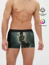 Мужские трусы боксеры / TOMB RAIDER