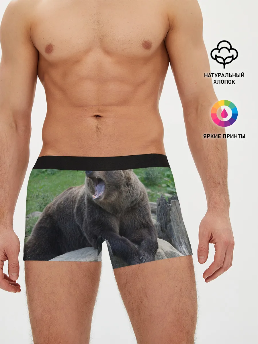 Мужские трусы боксеры / Медведь