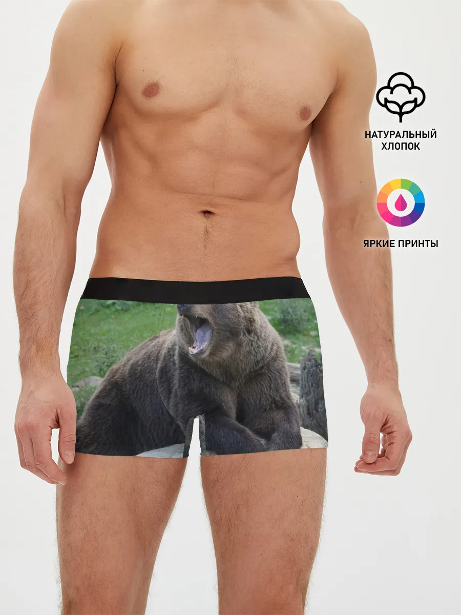 Мужские трусы боксеры / Медведь