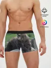 Мужские трусы боксеры / Медведь