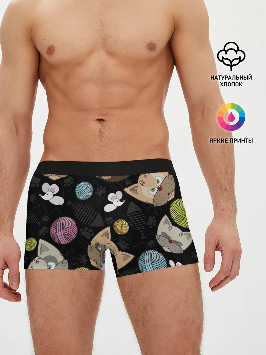 Мужские трусы боксеры / Злой кот.