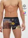 Мужские трусы боксеры / FALLOUT_76.