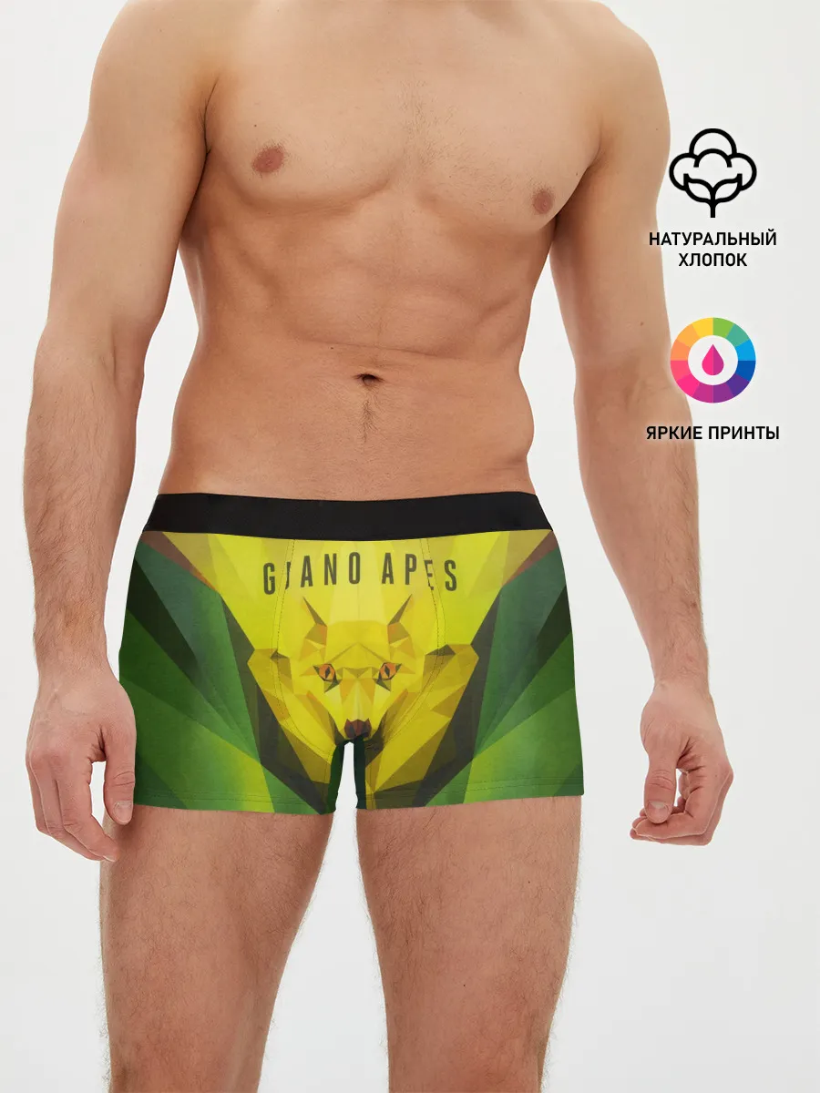 Мужские трусы боксеры / Proud Like a God