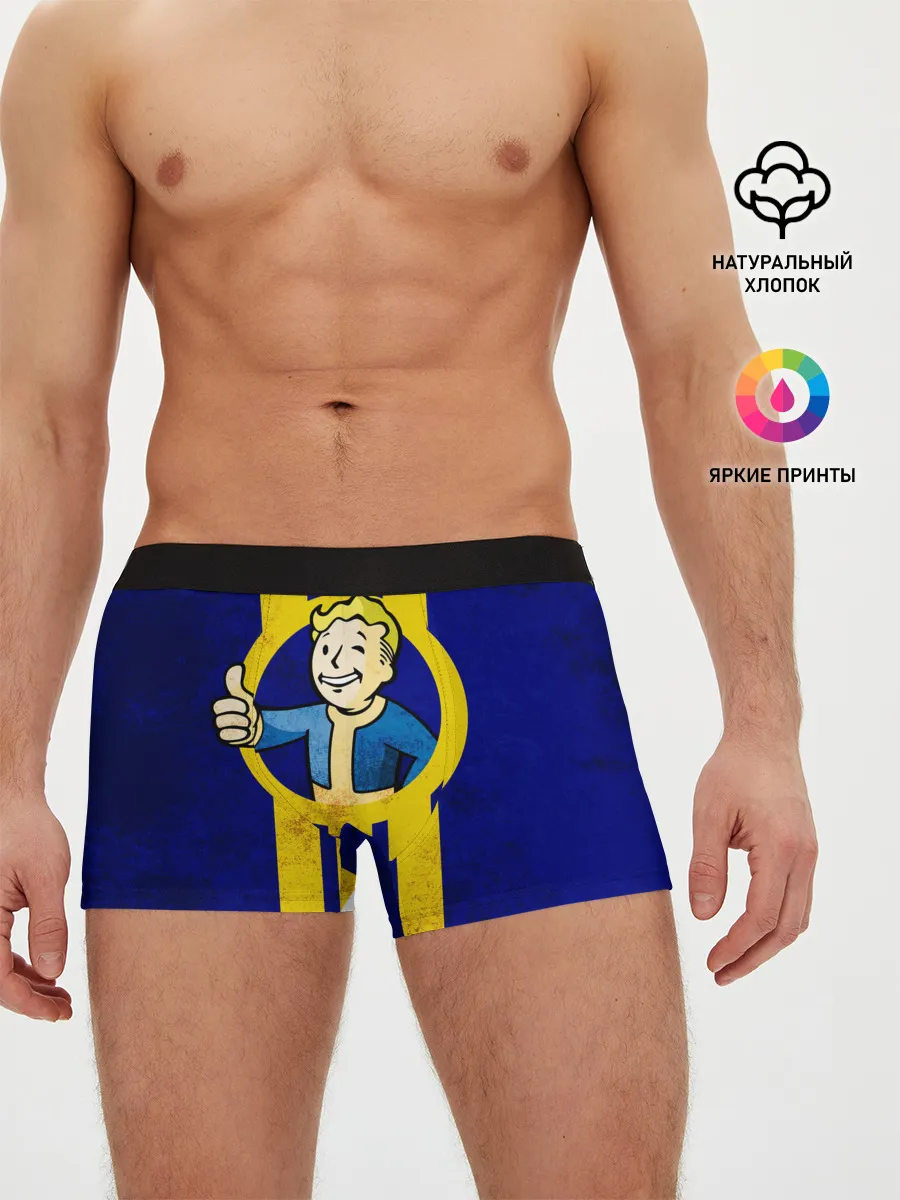 Мужские трусы боксеры / FALLOUT [4]