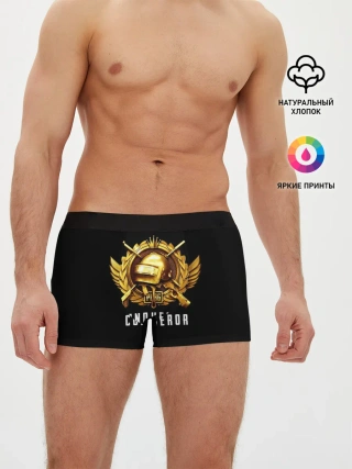 Мужские трусы боксеры / Завоеватель PUBG