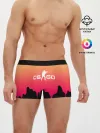 Мужские трусы боксеры / CS GO GRADIENT