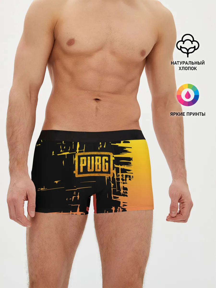 Мужские трусы боксеры / PUBG