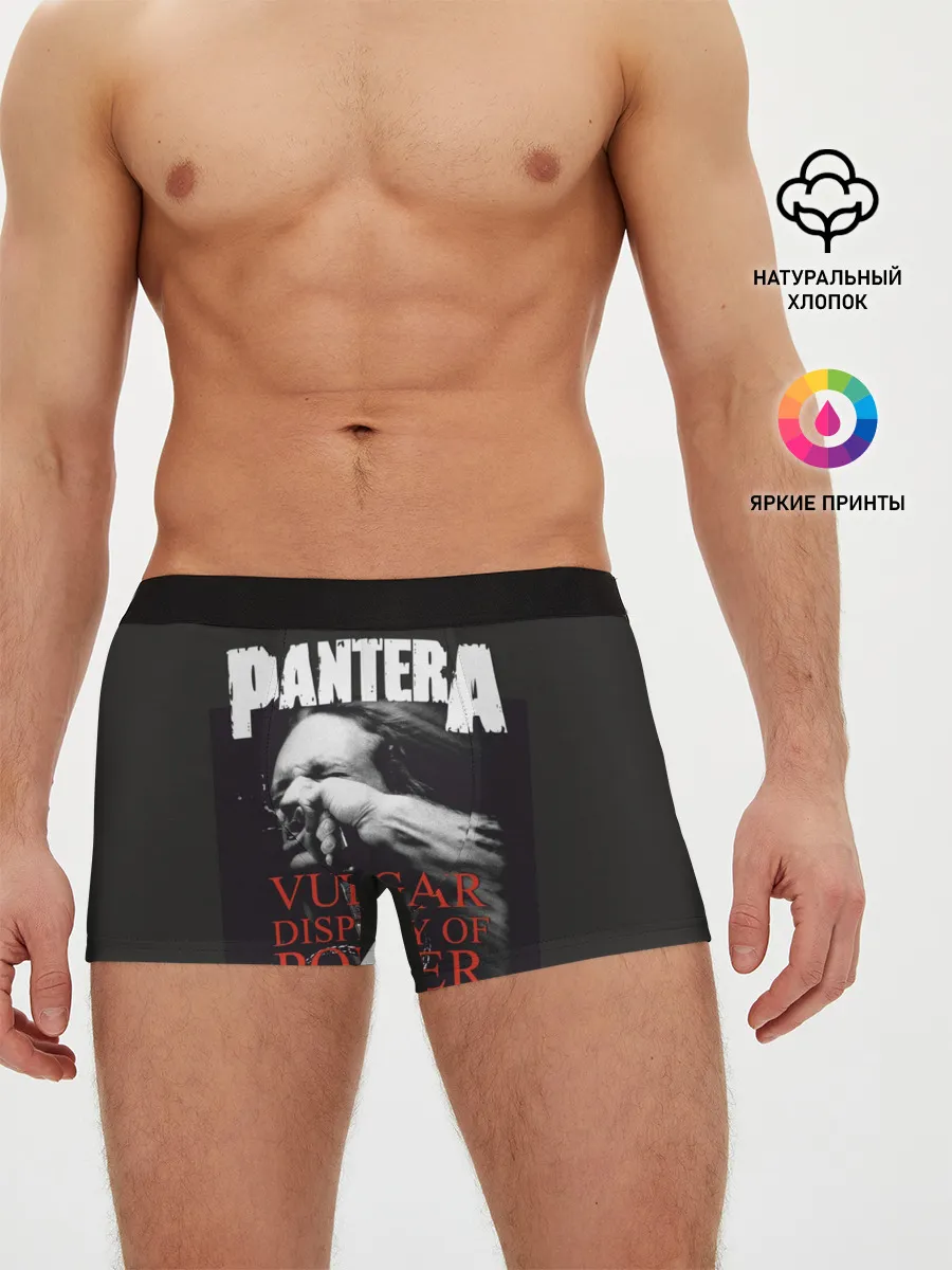 Мужские трусы боксеры / PANTERA VULGAR OF POWER