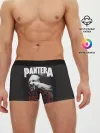 Мужские трусы боксеры / PANTERA VULGAR OF POWER