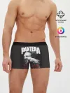 Мужские трусы боксеры / PANTERA VULGAR OF POWER