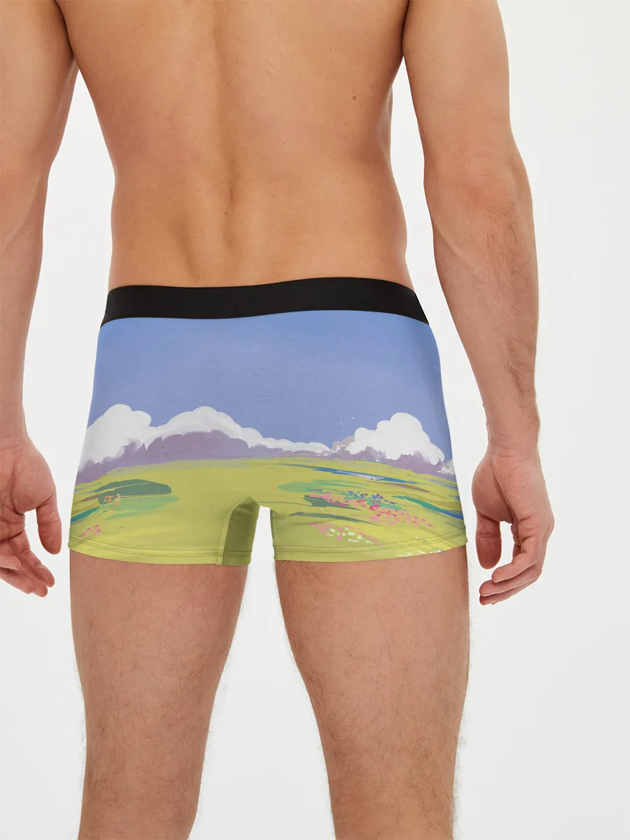 Мужские трусы боксеры / Ходячий замок Howl