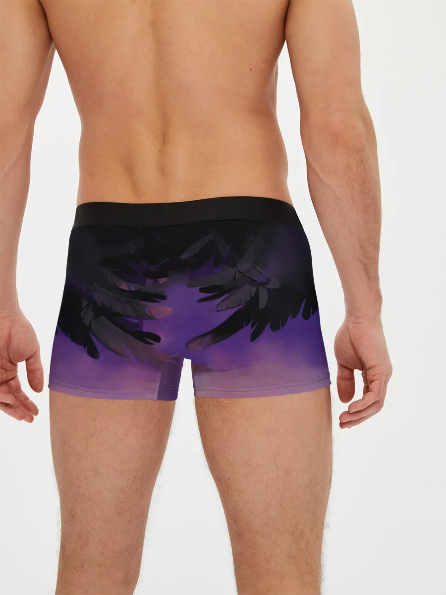 Мужские трусы боксеры / Крылья Хаула