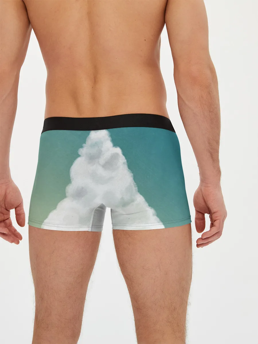 Мужские трусы боксеры / Хаул, Софи, Кальцифер и другие