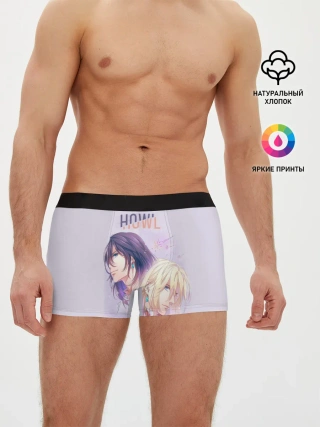 Мужские трусы боксеры / Howl Pendragon