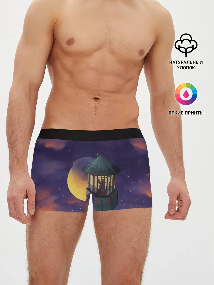 Мужские трусы боксеры / To the Moon 3D