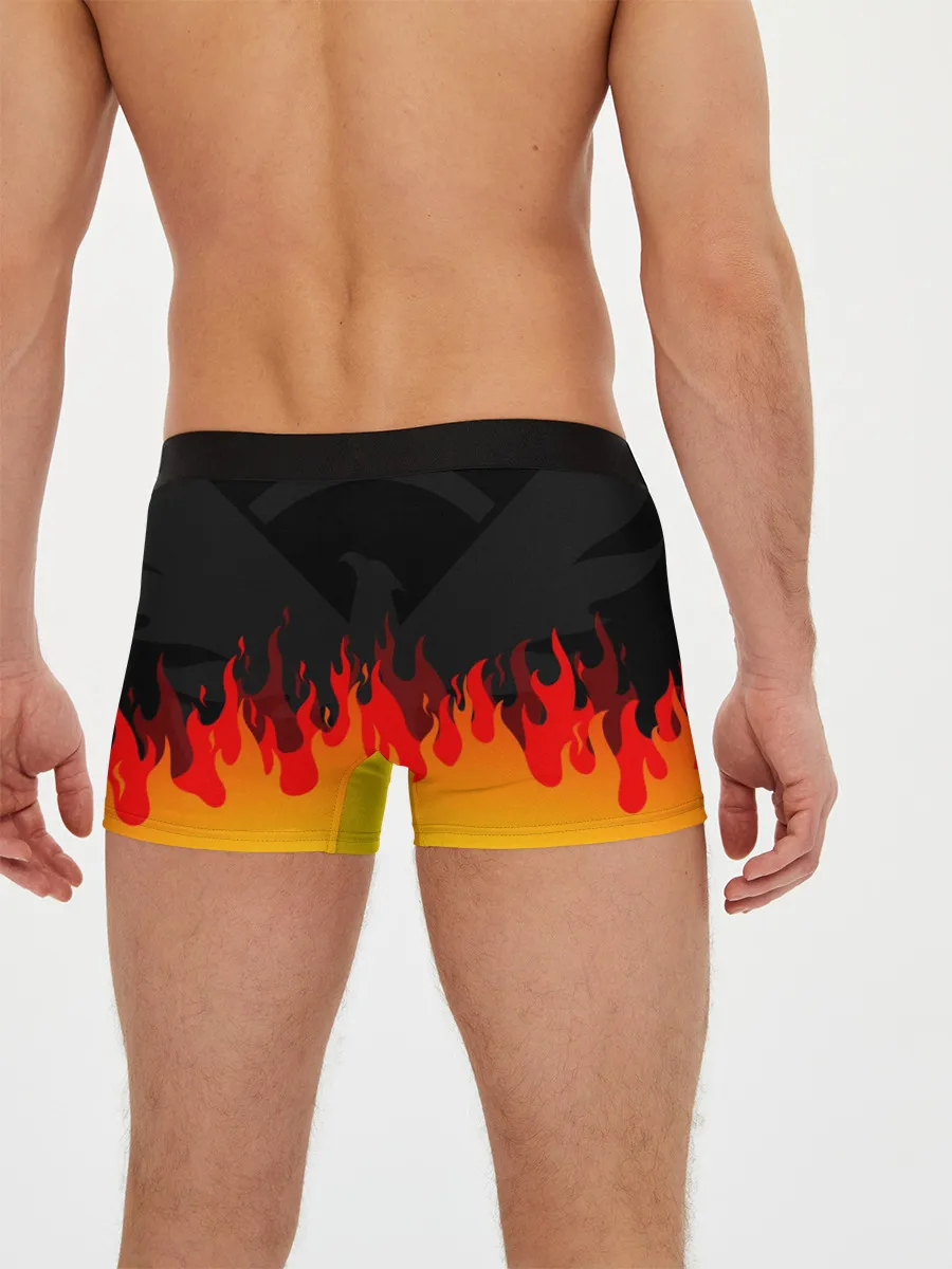 Мужские трусы боксеры / THE DIVISION 2