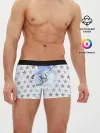 Мужские трусы боксеры / gymnastics