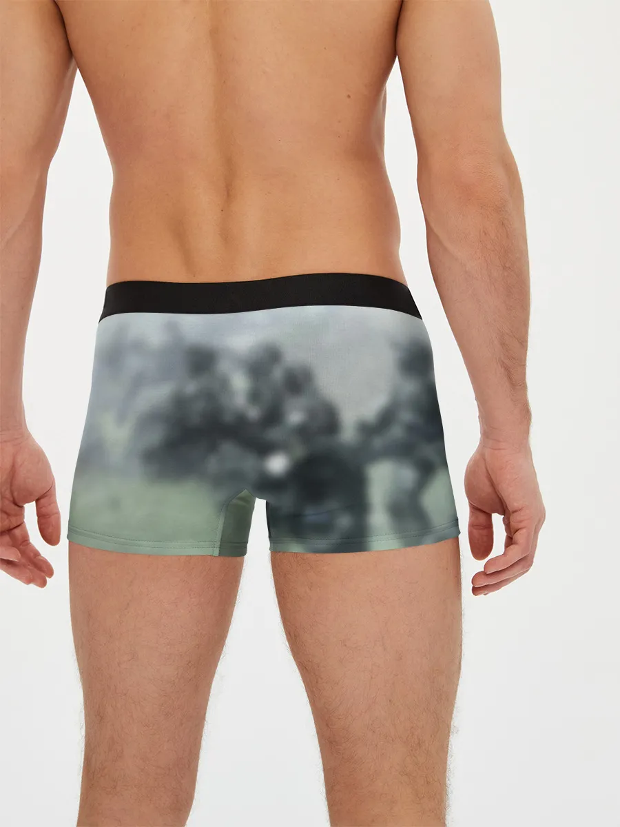 Мужские трусы боксеры / Halo 2