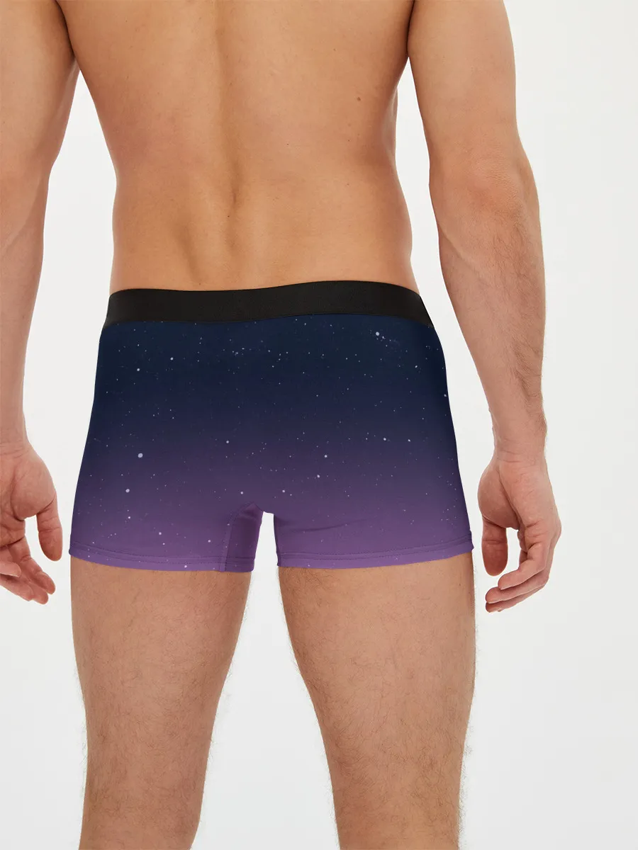 Мужские трусы боксеры / Тихиро летает с драконом в ночном небе