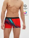 Мужские трусы боксеры / GEOMETRY STRIPES