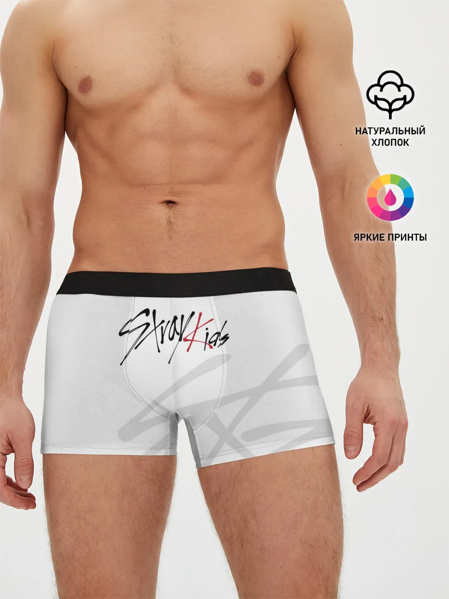 Мужские трусы боксеры / Stray Kids