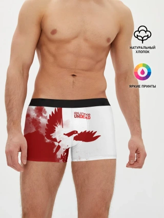 Мужские трусы боксеры / Hollywood Undead