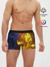 Мужские трусы боксеры / Огненный цветок