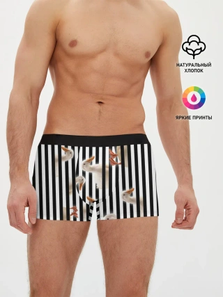 Мужские трусы боксеры / Гуси