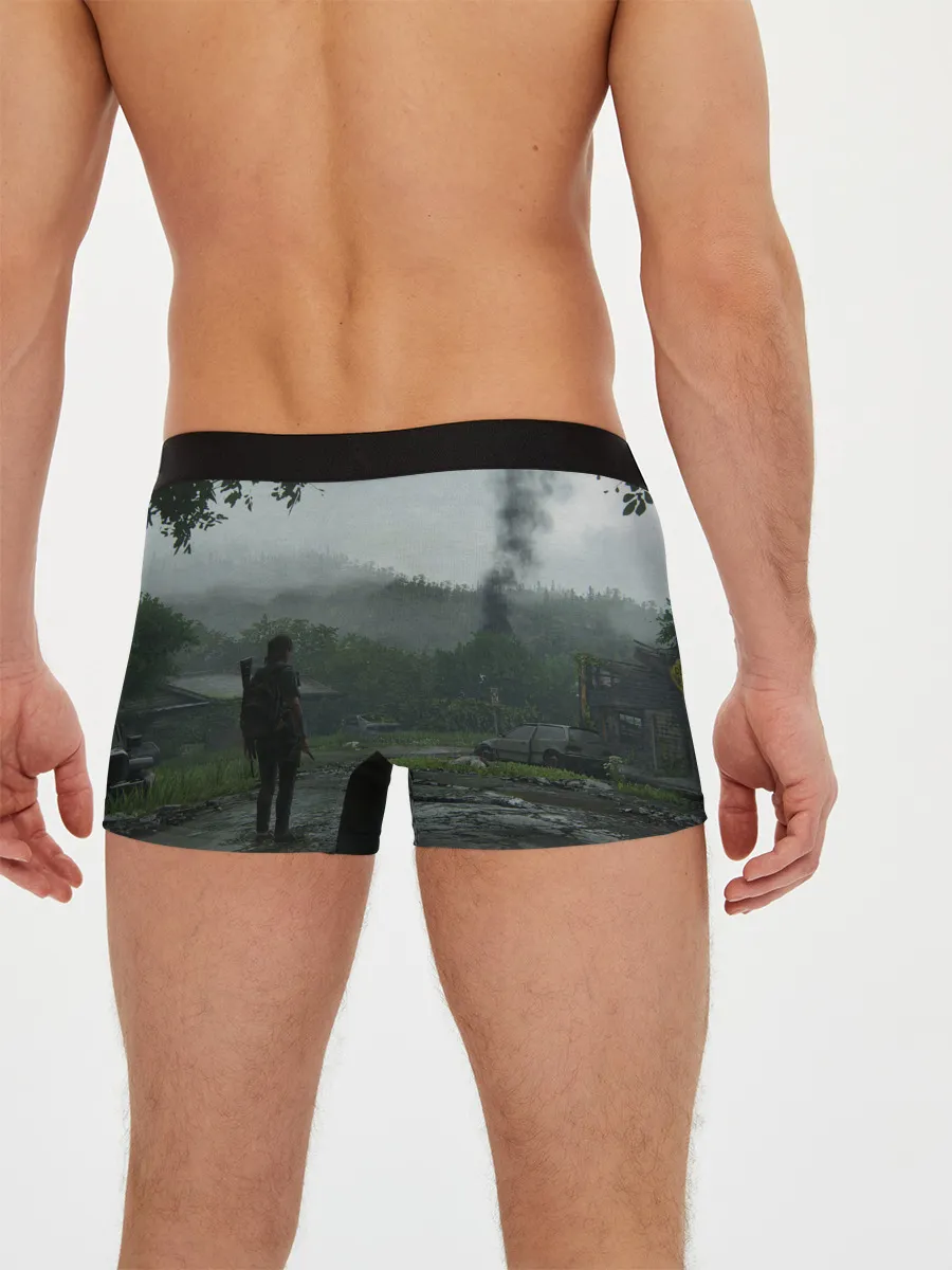 Мужские трусы боксеры / The last of Us 2