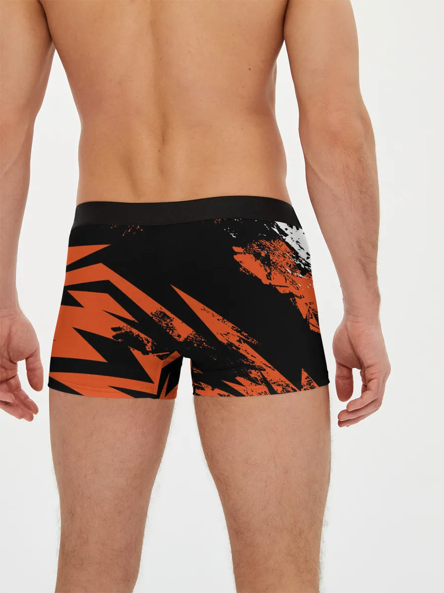 Мужские трусы боксеры / Minecraft: Dungeons