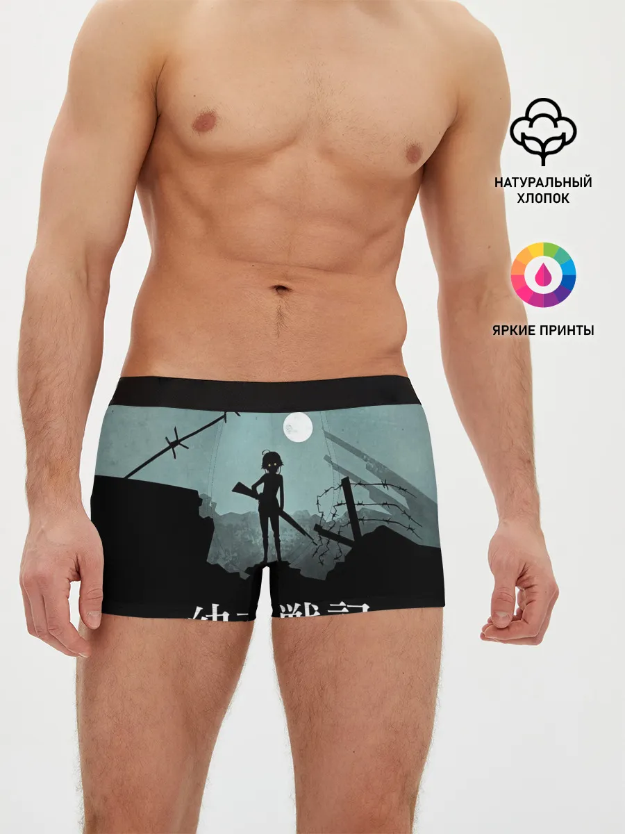 Мужские трусы боксеры / The saga of Tanya the evil