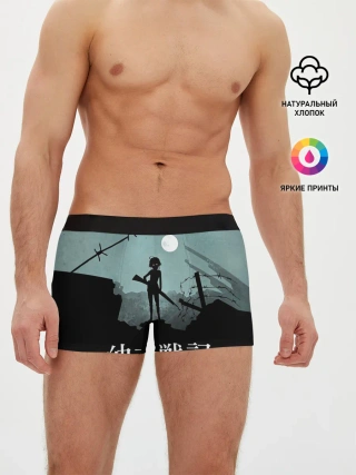 Мужские трусы боксеры / The saga of Tanya the evil