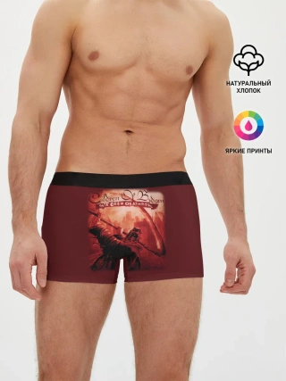 Мужские трусы боксеры / Children of Bodom 28
