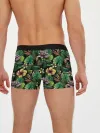 Мужские трусы боксеры / Летние цветы