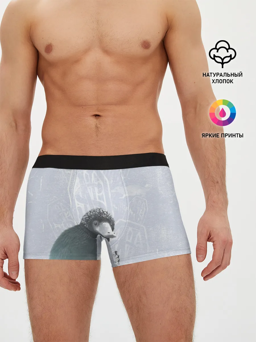 Мужские трусы боксеры / Niffler