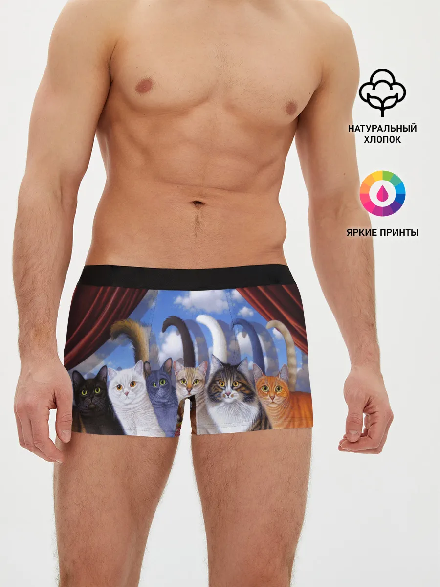 Мужские трусы боксеры / Коты