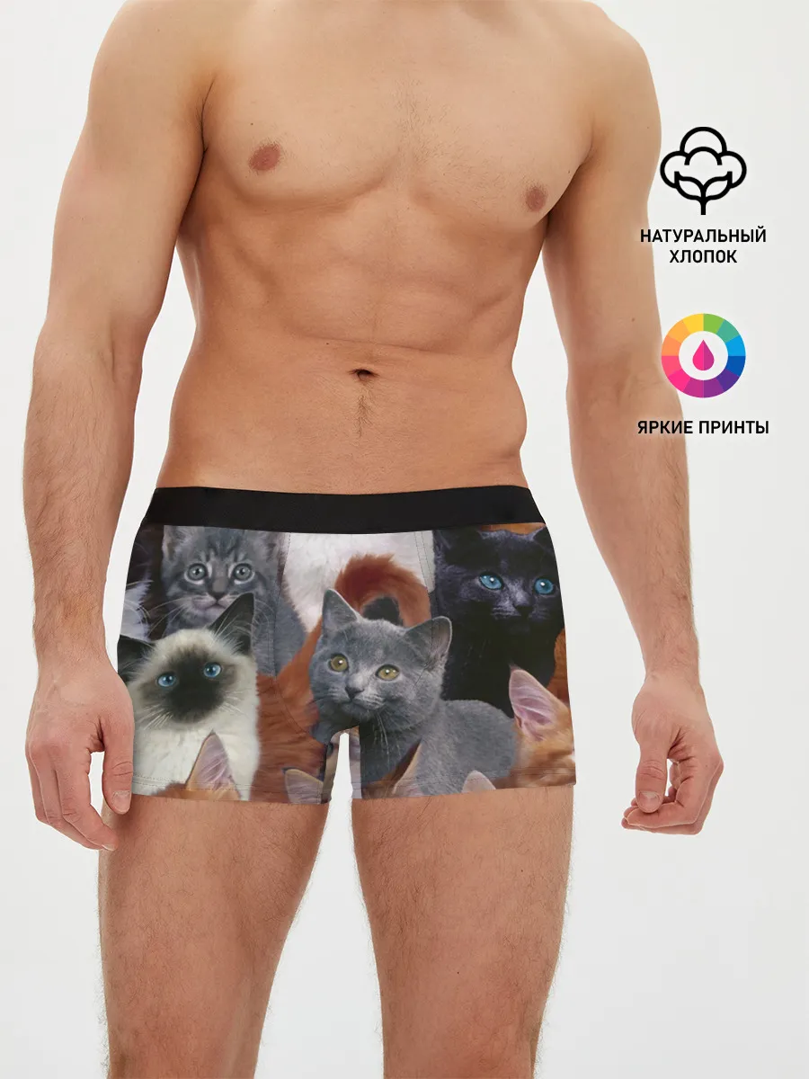 Мужские трусы боксеры / КОТЯТКИ