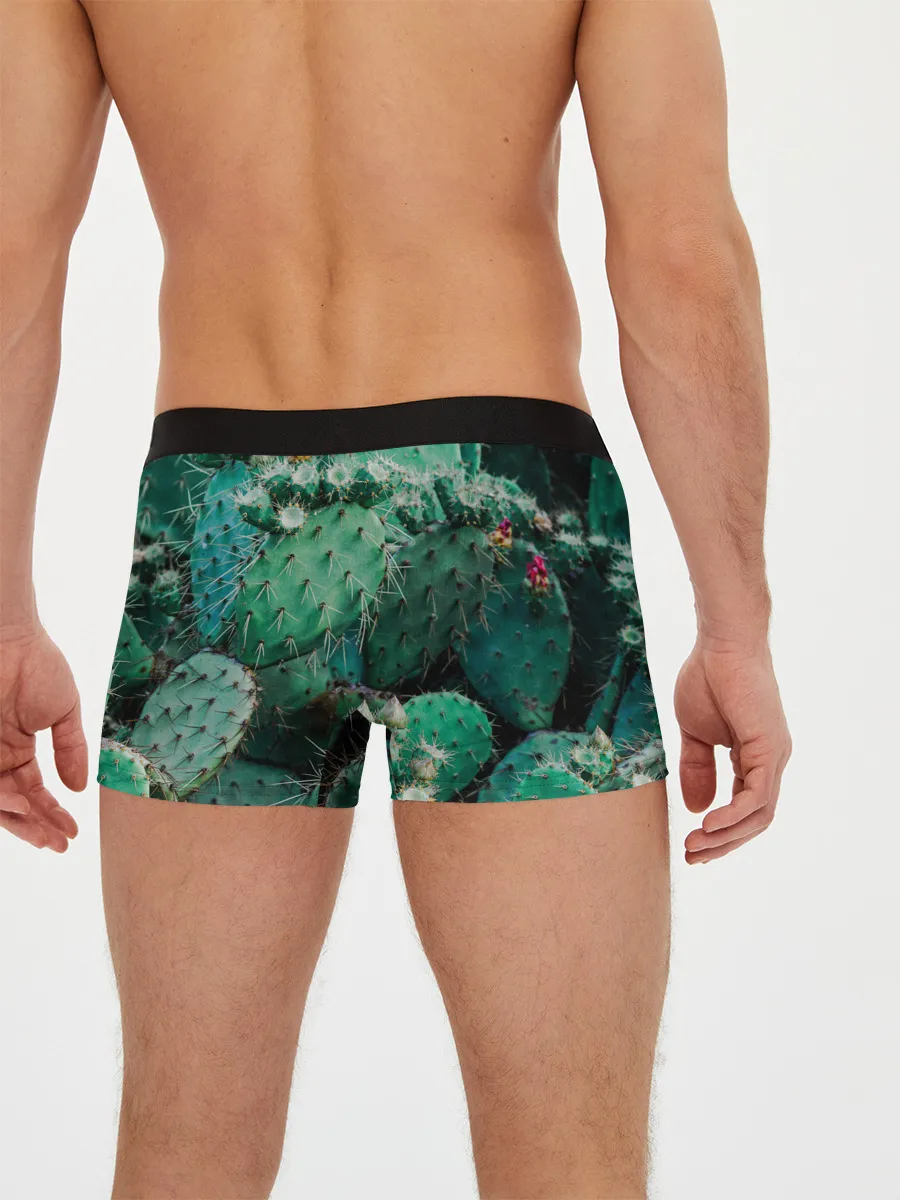 Мужские трусы боксеры / кактусы с цветами реализм
